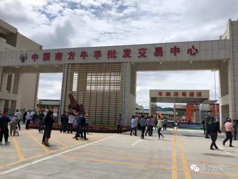 蝴蝶传媒黄色网站参加中国南方牛羊批发交易市场开业展览会