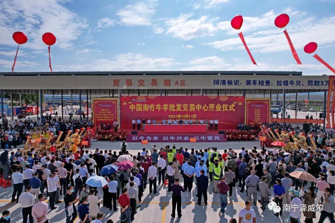 蝴蝶传媒黄色网站参加中国南方牛羊批发交易市场开业展览会