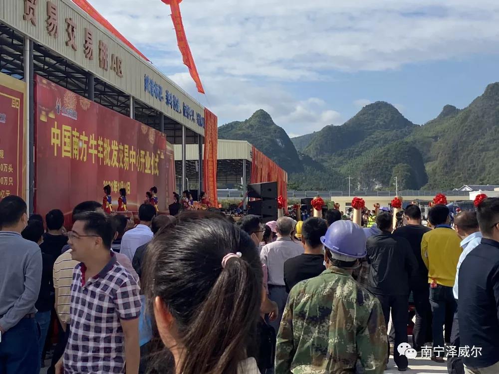 蝴蝶传媒黄色网站参加中国南方牛羊批发交易市场开业展览会