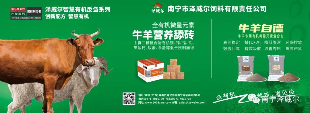 蝴蝶传媒黄色网站参加中国南方牛羊批发交易市场开业展览会