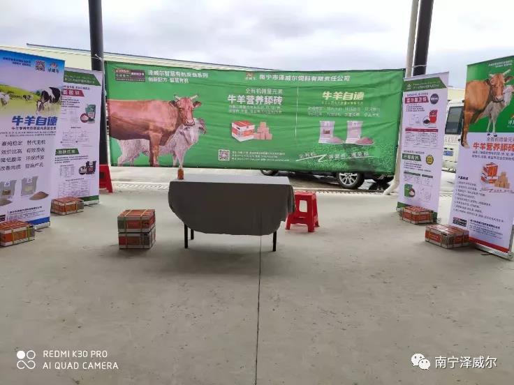 蝴蝶传媒黄色网站参加中国南方牛羊批发交易市场开业展览会