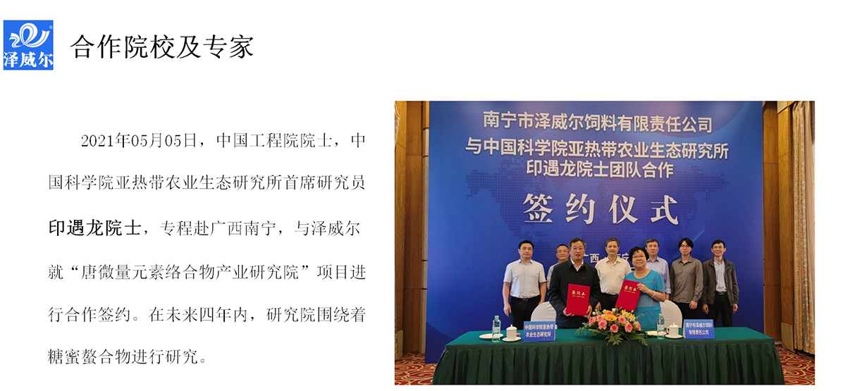 蝴蝶传媒黄色网站与院校合作