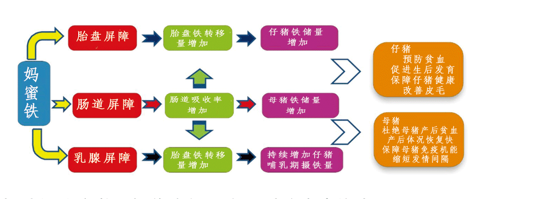 饲料添加剂妈蜜铁功效