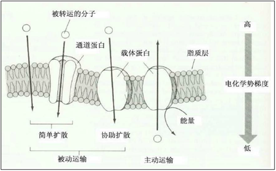 微信图片_202204301249592