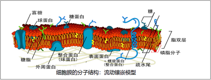 微信图片_202204301249593