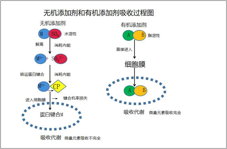微信图片_202204301249591