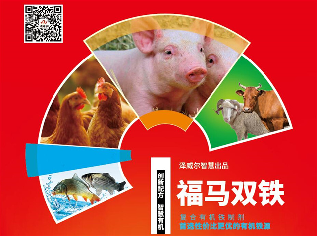 饲料添加剂福马双铁广告单页