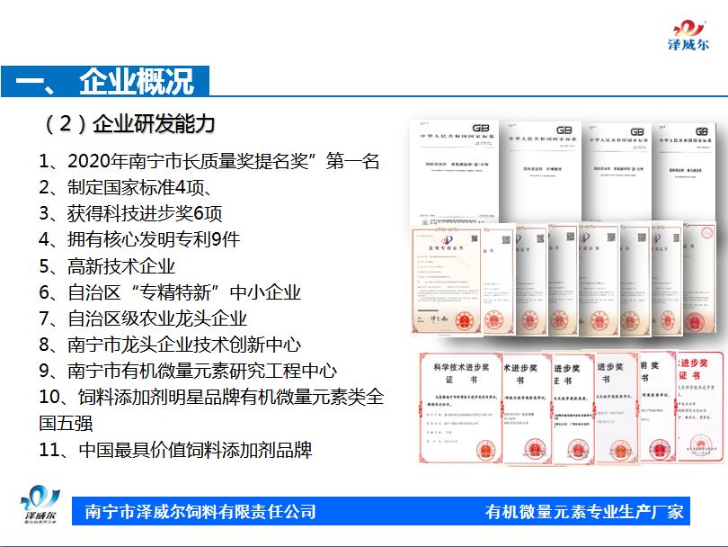 蝴蝶传媒黄色网站研发实力