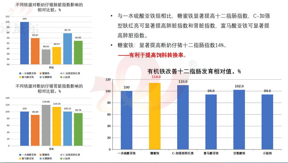 不同饲料添加剂铁源对断奶仔猪肺脏指数影响的相对比较