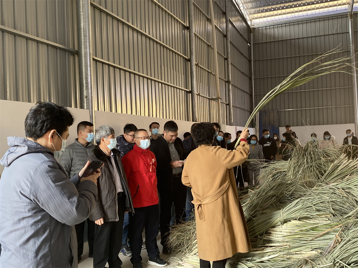 参观年产2万吨单细胞饲料蛋白项目