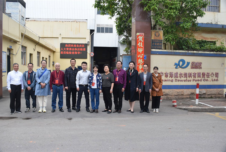 良庆区人大常委会检查组莅临蝴蝶传媒黄色网站检查指导