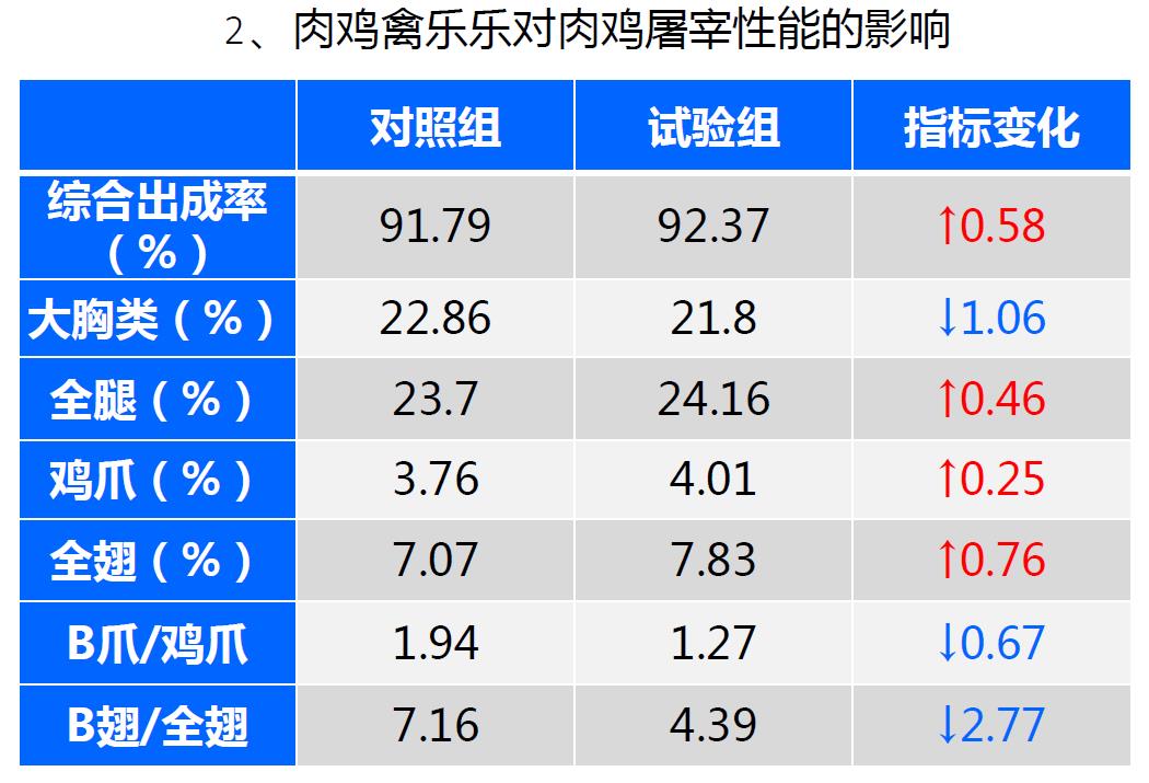肉鸡禽乐乐对肉鸡屠宰性能影响