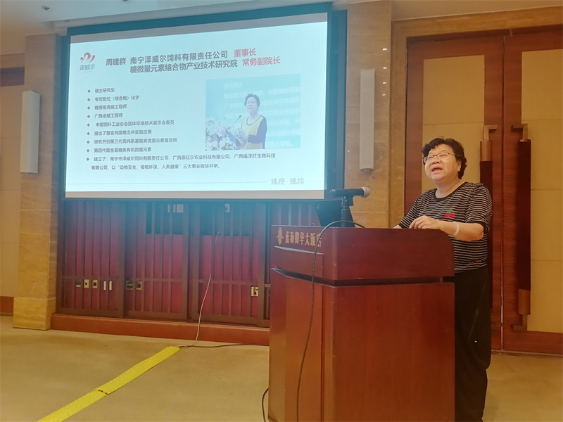 周建群董事长