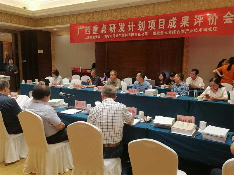 广西重点研发计划项目评价会