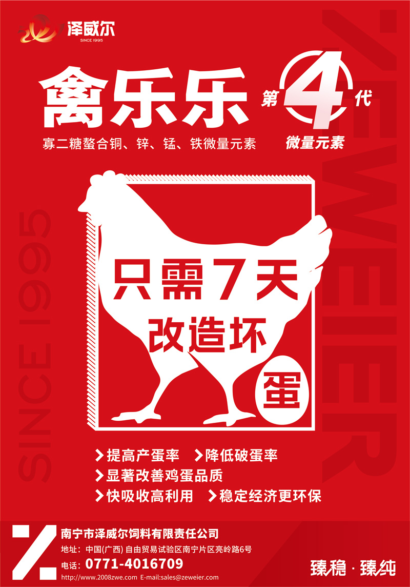 改造坏蛋-只需7天