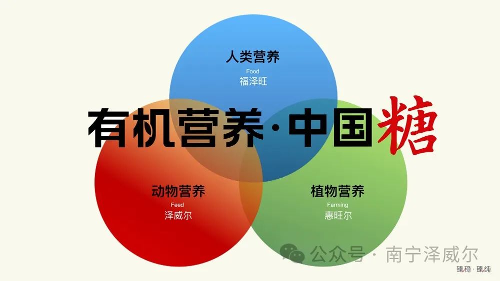 有机营养中国糖