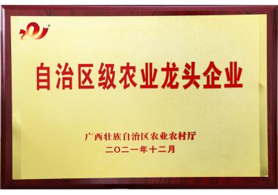 南宁蝴蝶传媒黄色网站荣获自治区级农业龙头企业称号